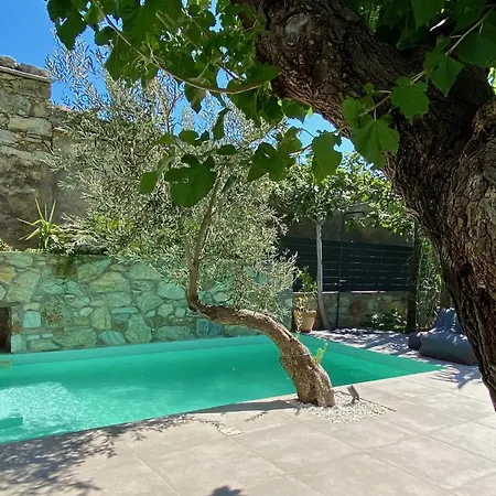 Urban Oasis: Stone House With Pool & Garden Semesterbostad *